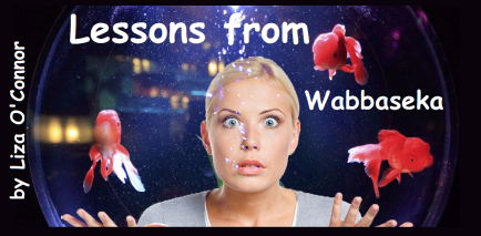 Lessons from Wabbaseka